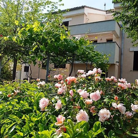 Apartman Adrijana Kastav, Free Wifi & Parking, 2 Bedrooms & Sea View 外观 照片