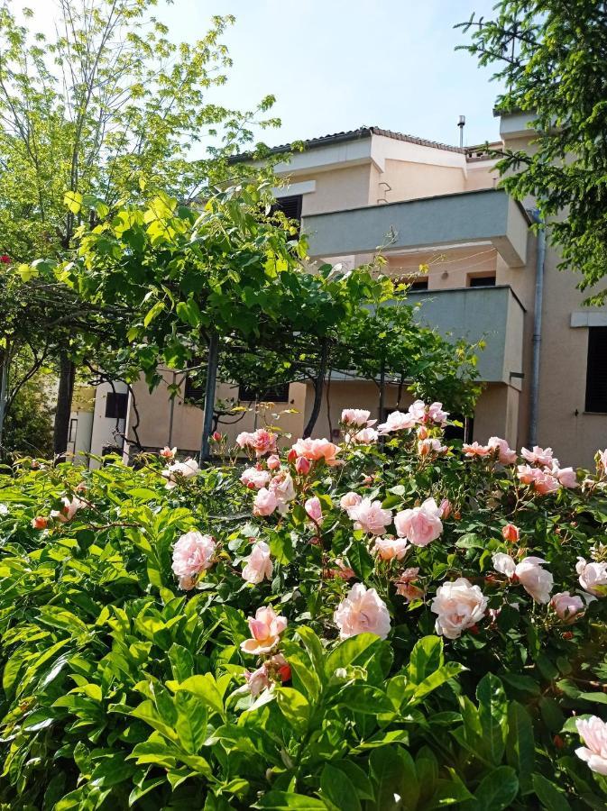 Apartman Adrijana Kastav, Free Wifi & Parking, 2 Bedrooms & Sea View 外观 照片