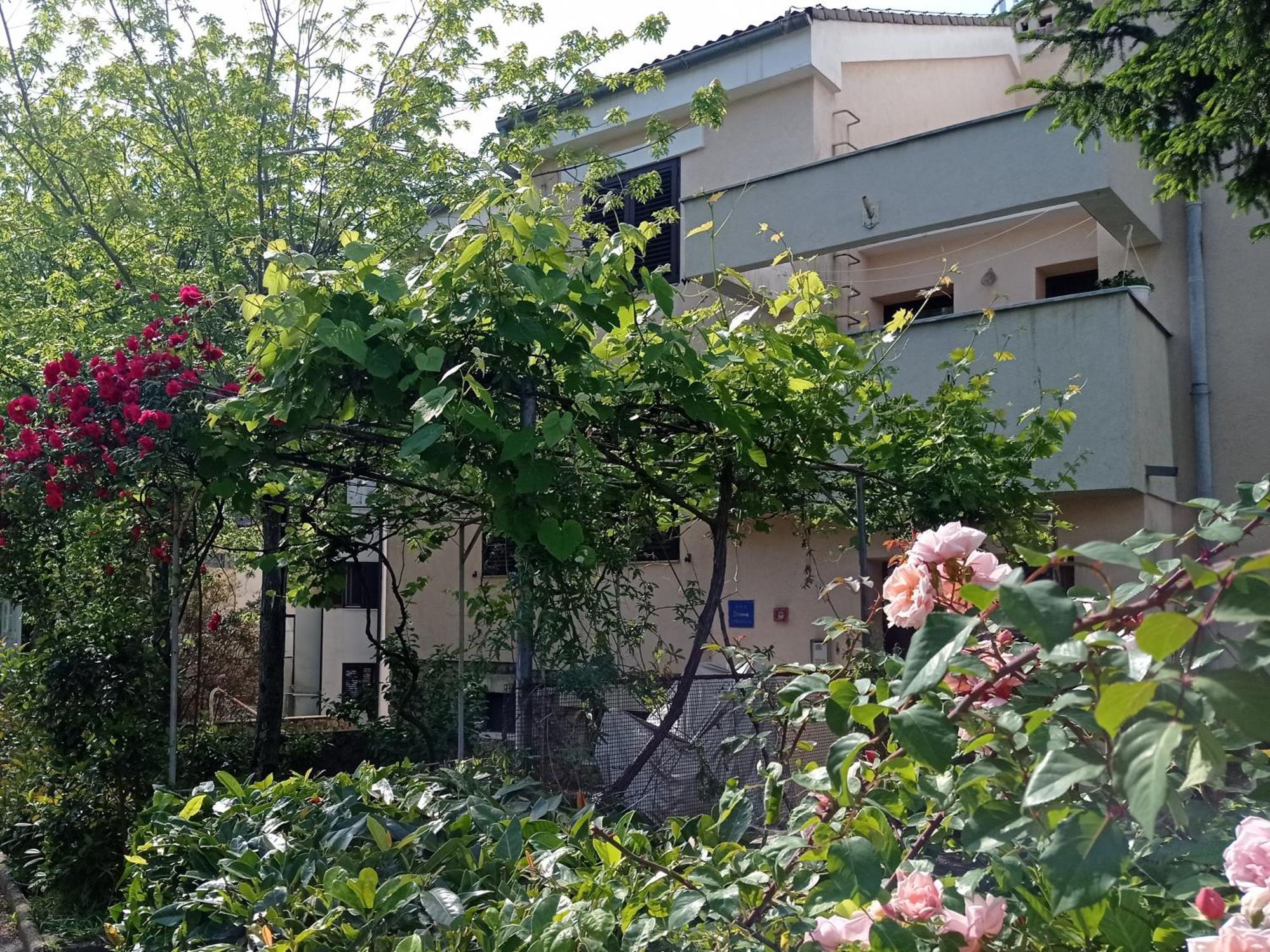 Apartman Adrijana Kastav, Free Wifi & Parking, 2 Bedrooms & Sea View 外观 照片