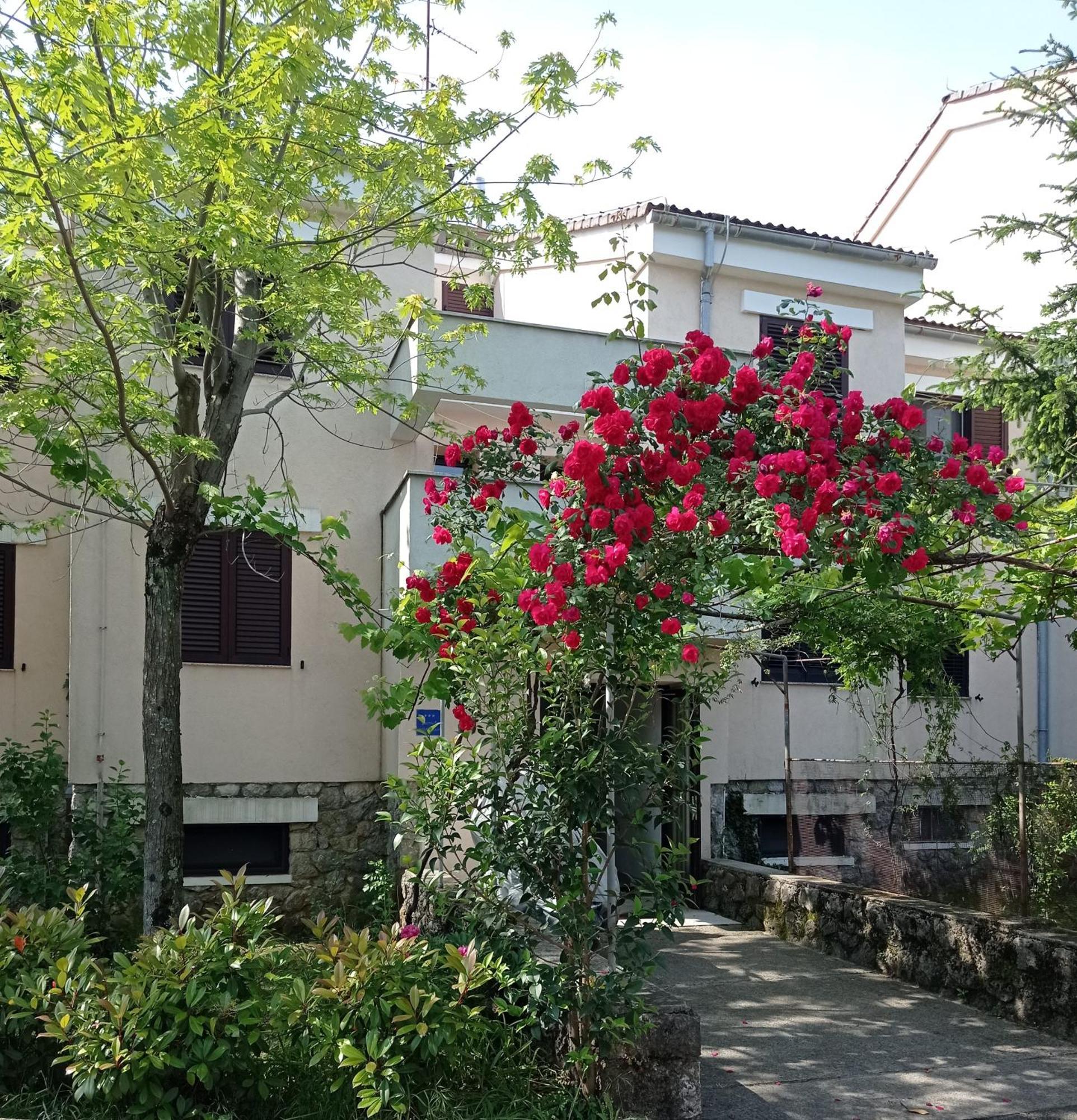 Apartman Adrijana Kastav, Free Wifi & Parking, 2 Bedrooms & Sea View 外观 照片